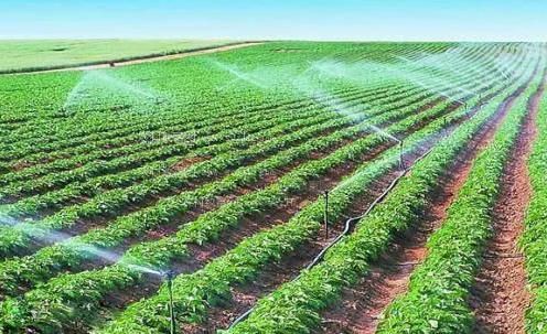 插逼到高潮视频在线观看农田高 效节水灌溉